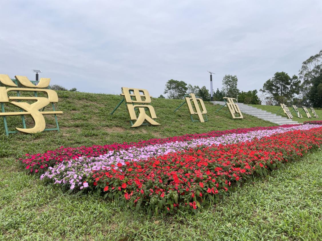 图：鲜花点缀的校园